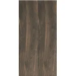 Плитка Fiandre Bois Urbain Noisette 90x22.5 (AS222X1122R9) - Фото 1